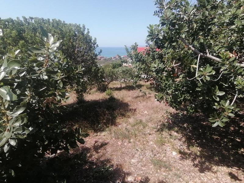 0 Bedroom Property for Sale in Tergniet Western Cape